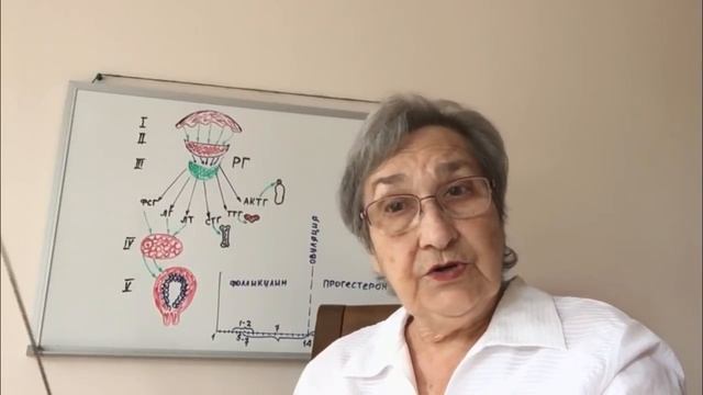 Менструальный цикл и его регуляция (46)