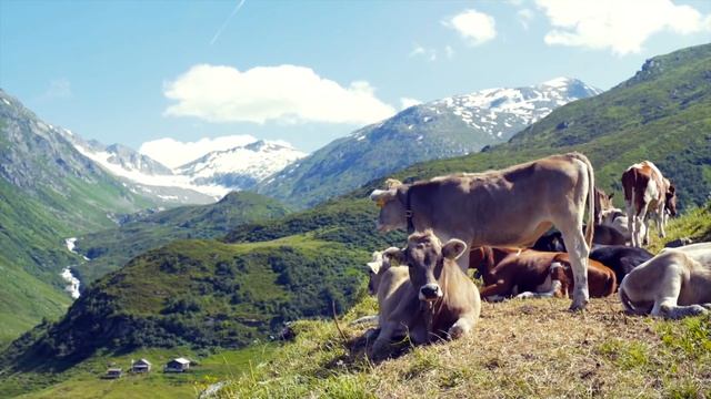 【Switzerland】 Travel Guide - Top 10 Switzerland | Travel At Home