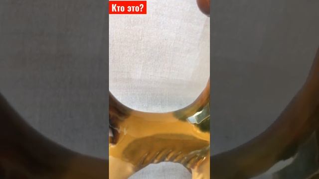 Стройка Проект