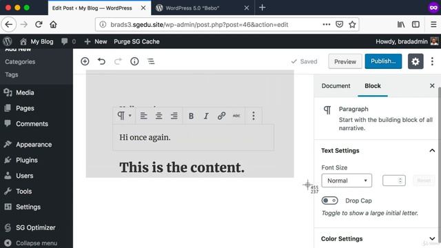 WordPress For Beginners - Quick Note Classic Editor vs Default Editor - Video 06 смотреть онлайн