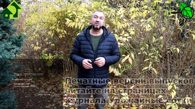 МУЛЬЧИРОВАТЬ или НЕТ НА ЗИМУ? Чем НЕЛЬЗЯ мульчировать на зиму. Листья, слизни и болезни. смотреть онлайн