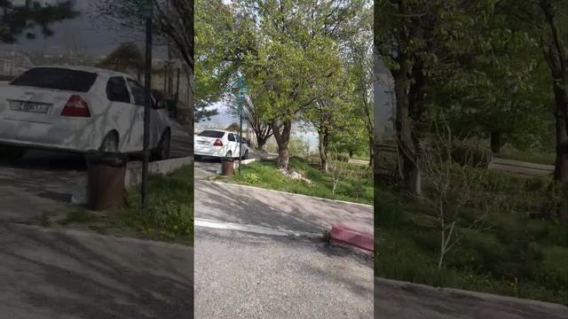 Авеню парк. Отель на берегу Чарвака. Тарантул или фаланга. опасный паук смотреть онлайн