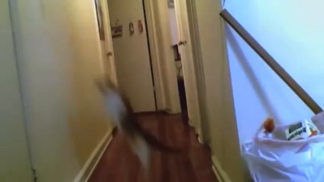 Иногда просыпаешся, и видишь такое утро смотреть онлайн