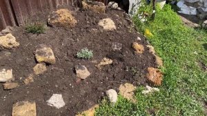 Альпийская горка своими руками с нуля