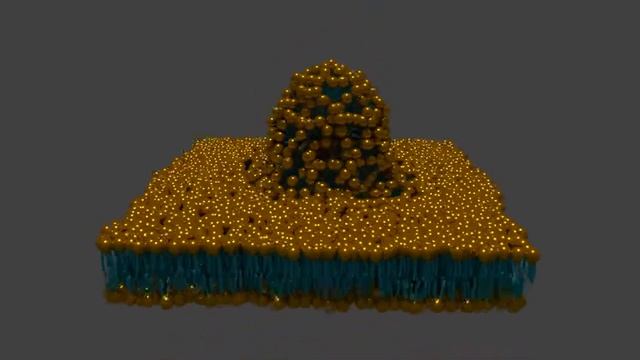 Vesicle-Membrane Fusion - Blender Animation Nodes смотреть онлайн