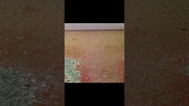 Как у меня развиваются колонии трубочника