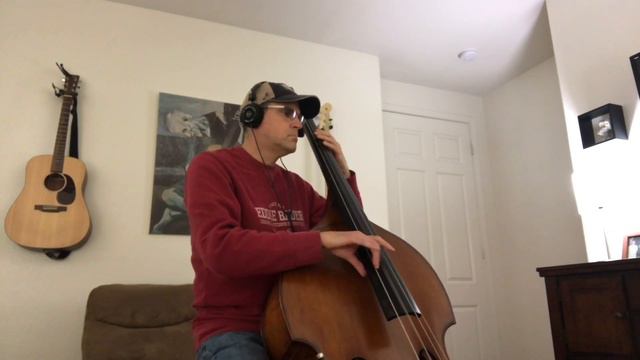 Three Little Birds - Upright Bass Cover смотреть онлайн
