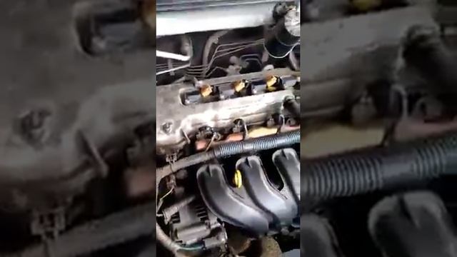 Toyota corolla 2005 con falta de mantenimiento se apago,veamos смотреть онлайн