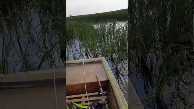 Болотоход 6.5 л.с смотреть онлайн