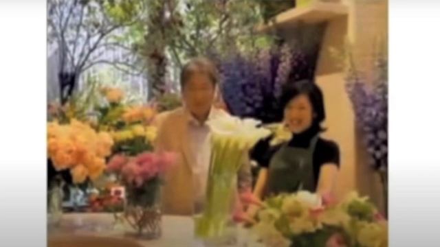 TOYOTA SAI cm 2009 смотреть онлайн