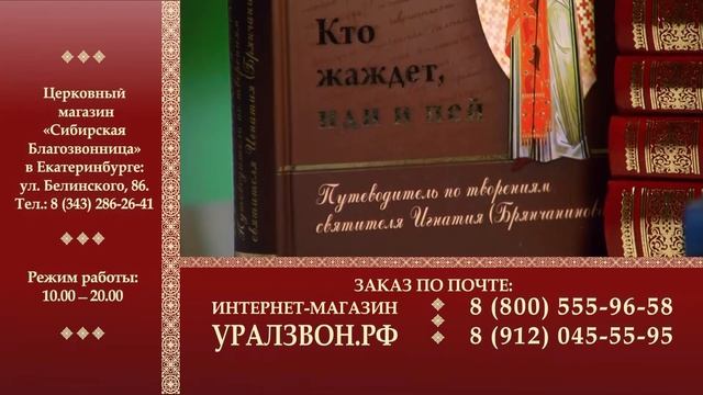 Собрание сочинений свт Игнатия (Брянчанинова). Отзывы читателей_2 смотреть онлайн