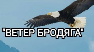 ВЕТЕР БРОДЯГА | Я построю дом у тихой пристани | Старая добрая песня Игорь Костровой