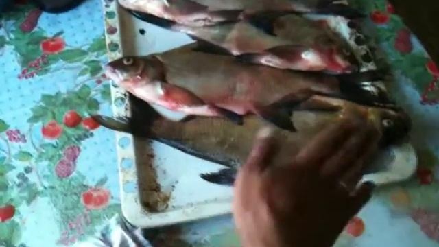 Лещей на Клязьме половили... смотреть онлайн