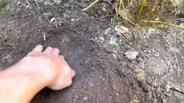 🔥 ТОЛЬКО 13 ДЕКАБРЯ ‼️ Отдать земле болезни и порчи на переработку 🔥 смотреть онлайн