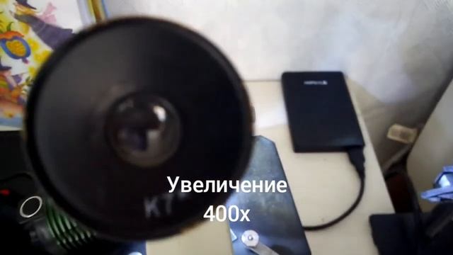 Крыло бабочки под увеличением 900х.Очень красиво смотреть онлайн