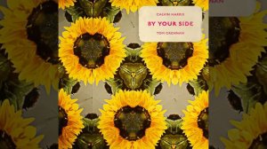 Calvin Harris & Tom Grennan - By Your Side