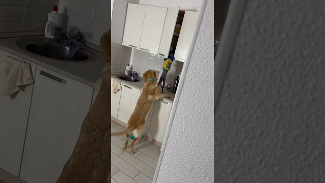 спалились ещё и как ????