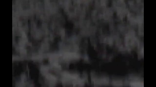 ATN THOR-HD 384 2-8x thermal range test смотреть онлайн