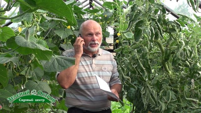 Строительные Технологии