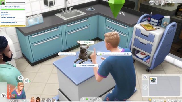 TS4 / Кошки и собаки #5 - НАС ВЫСЕЛЯЮТ! смотреть онлайн