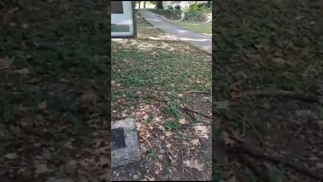 Поездка в археологический комплекс «Дион». Видео от Натали смотреть онлайн