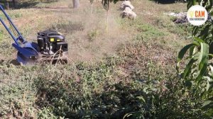 Лоплош культиватор против целины! Реальный отзыв