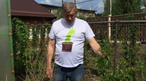 Выращиваем гранат в Воронеже. 8 Мая.