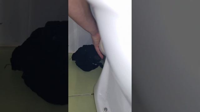 Заменили гофру без демонтажа унитаза/Мастер на час Сантехник Балашиха Железнодорожный смотреть онлайн