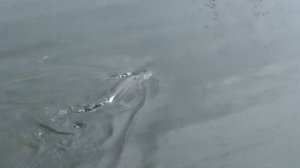 База 177 наша поездка