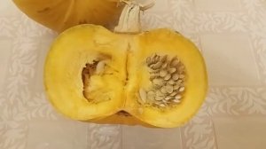 Кабачок - цукини Ницца. Обзор. Классная дача.