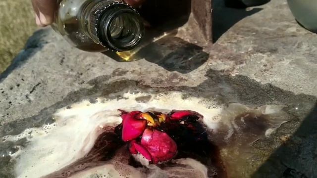Rose vs Acid - what's next : How acid react with Rose смотреть онлайн
