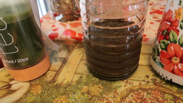 Testing out my New Pioneer Woman Vintage Floral Portable Blender and Coffee Maker! смотреть онлайн