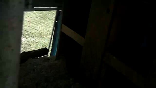 Building my chicken coup part 11 смотреть онлайн