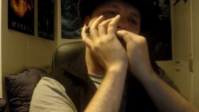 Falkenbach: Where His Ravens Fly (Chromatic Harmonica Cover) смотреть онлайн