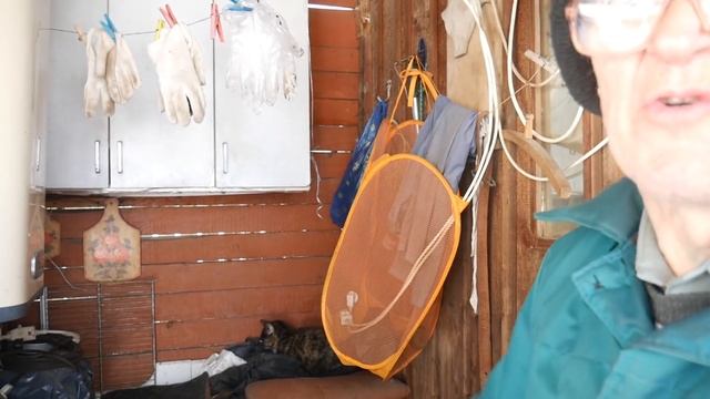 Кошкин дом: спасаем бездомных кошек; делаем дом для кошек. смотреть онлайн