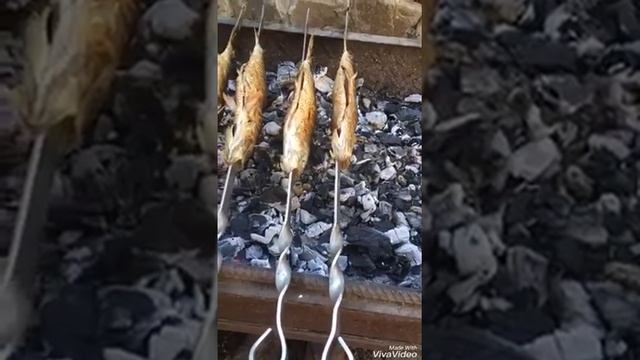 (готовим селёдку) Донская селёдочка на мангале!!! смотреть онлайн