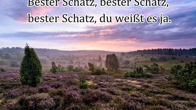 German Song: Auf Der Lüneburger Heide (With Lyrics)