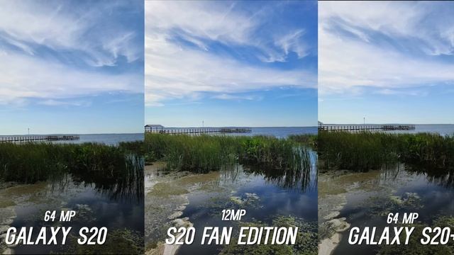 Samsung Galaxy S20 FE vs S20 Plus vs S20 Full Comparison with Camera Test! смотреть онлайн