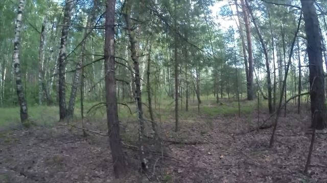 На Оке. Заезд на базу. Жара под 40. Рыбка бастует. смотреть онлайн