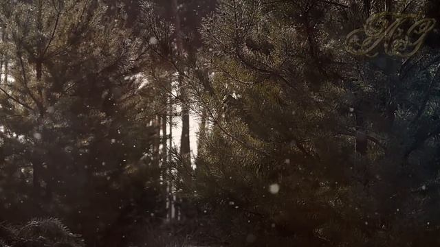 ?Маленький Пашка Ангел! Странная мистическая история! Случай в тайге! смотреть онлайн