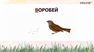Буква В | Дошкольники | Буквы #3 | Инфоурок
