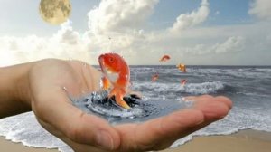 Демидыч Золотая рыбка