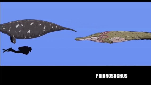 Древняя фауна