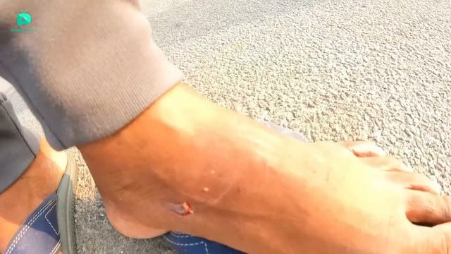 RC High Speed Racing Car XLF F16 Unboxing & Testing – Chatpat toy tv смотреть онлайн