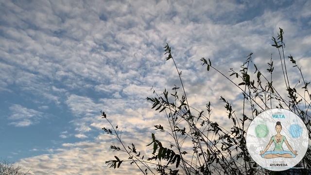 Три аюрведических типа язвенной болезни и гастрита- три вида лечения без химических препаратов. смотреть онлайн