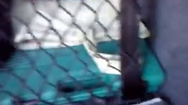 Багажник Шкода Октавия Тур А4 смотреть онлайн