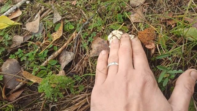 Магия и кристаллы