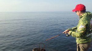 Ловля саргана на колебалку SV-Fishing Metal Twich