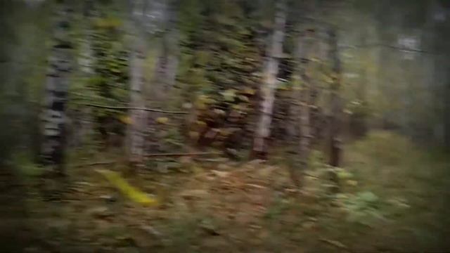 ПРОВЕРКА НЕ ПРОЙДЕНА! ДОБРАЛСЯ ДО МЕСТА НАЗНАЧЕНИЯ .