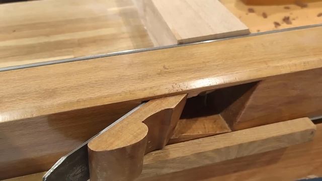 066 Eugenia uniflora as a gift смотреть онлайн